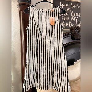 Forever 21 Black & White Vertical Stripe dress